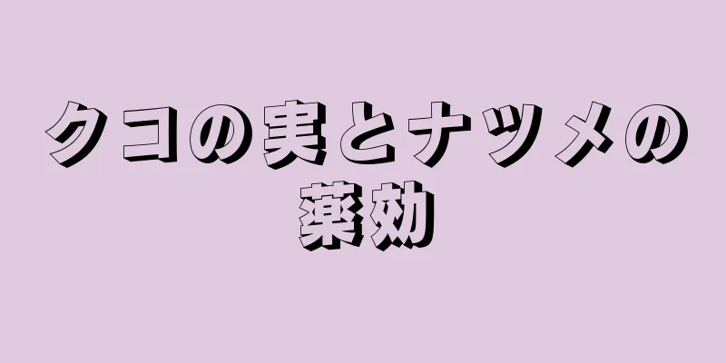 クコの実とナツメの薬効