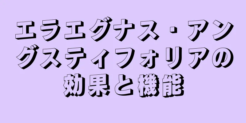 エラエグナス・アングスティフォリアの効果と機能