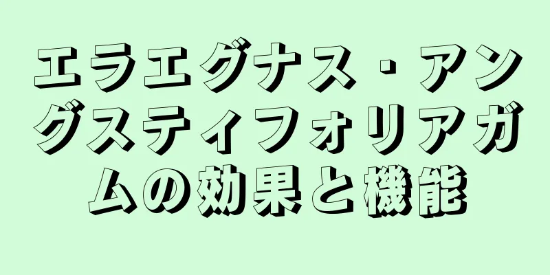 エラエグナス・アングスティフォリアガムの効果と機能