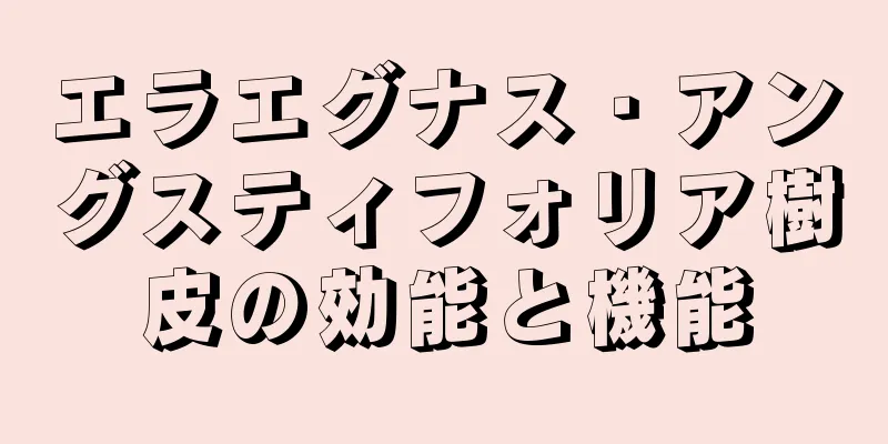 エラエグナス・アングスティフォリア樹皮の効能と機能