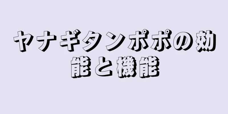 ヤナギタンポポの効能と機能