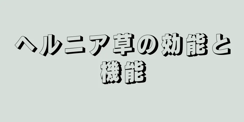 ヘルニア草の効能と機能