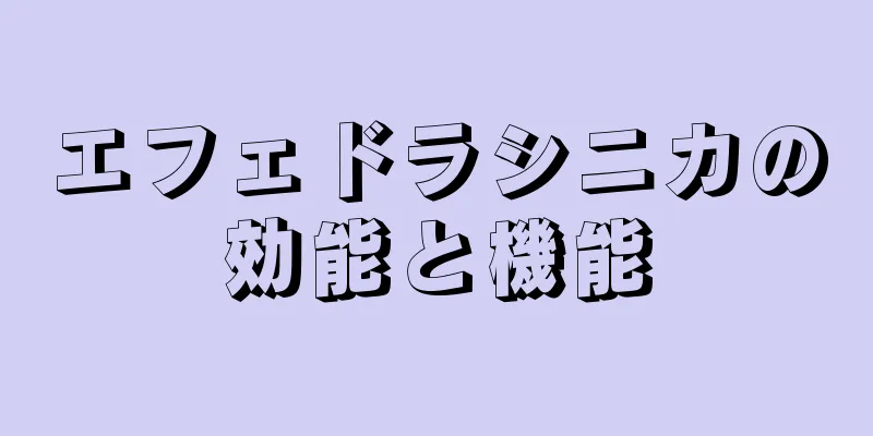 エフェドラシニカの効能と機能