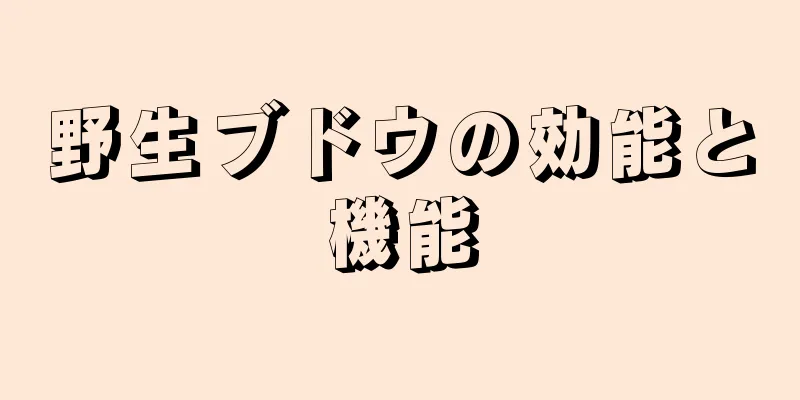 野生ブドウの効能と機能