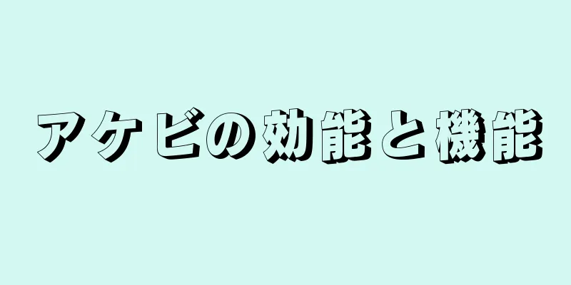アケビの効能と機能