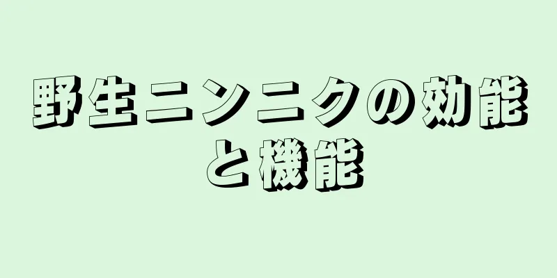 野生ニンニクの効能と機能