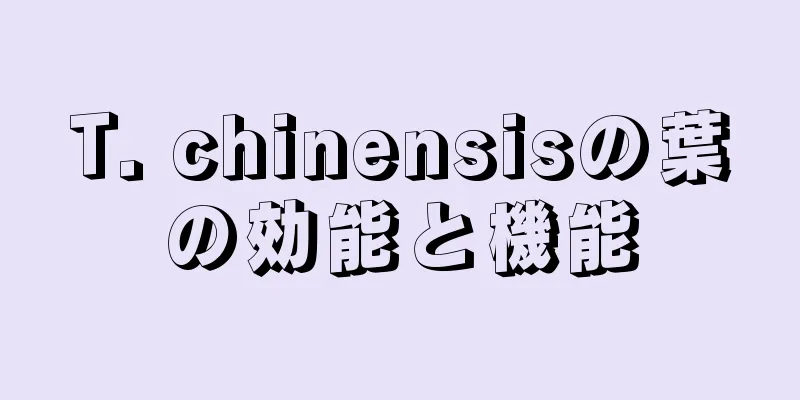T. chinensisの葉の効能と機能