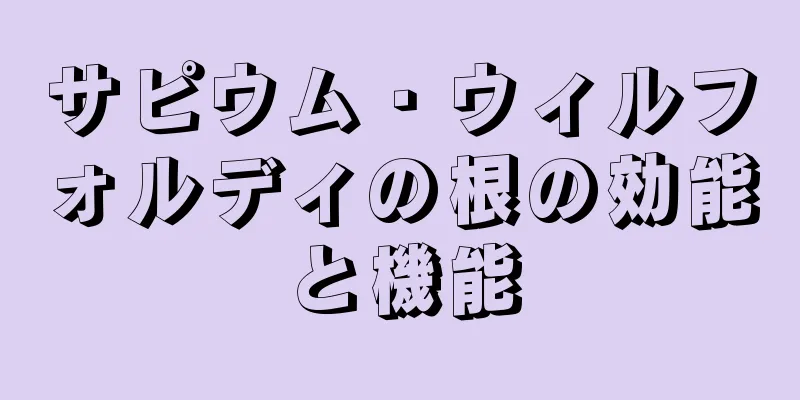 サピウム・ウィルフォルディの根の効能と機能