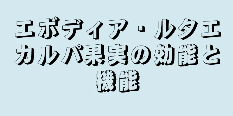 エボディア・ルタエカルパ果実の効能と機能