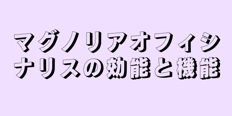 マグノリアオフィシナリスの効能と機能