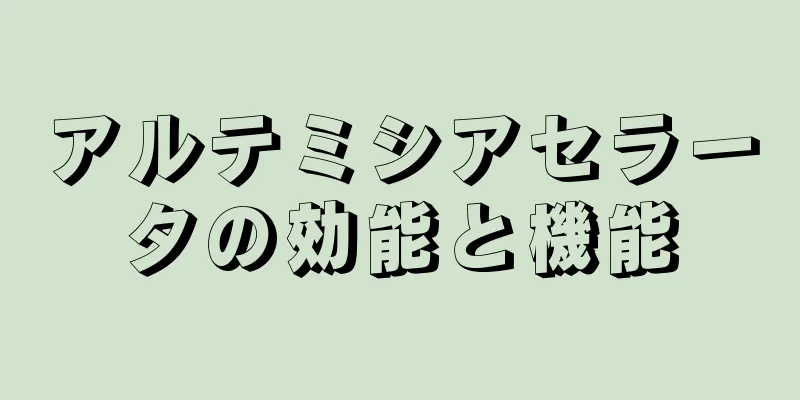 アルテミシアセラータの効能と機能