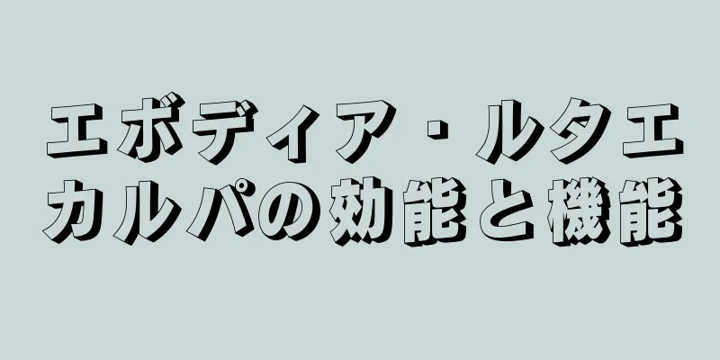 エボディア・ルタエカルパの効能と機能