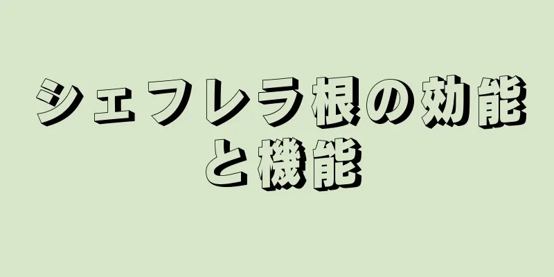 シェフレラ根の効能と機能