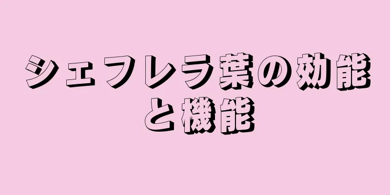 シェフレラ葉の効能と機能