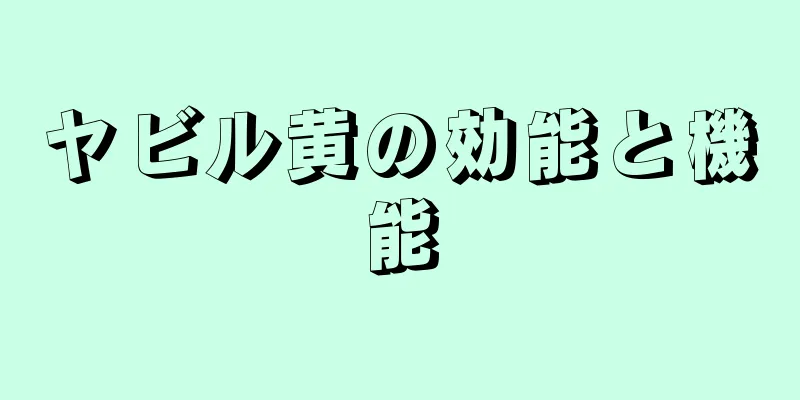 ヤビル黄の効能と機能