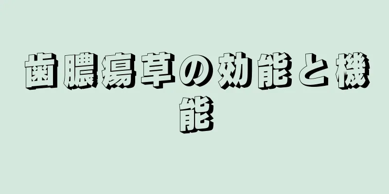 歯膿瘍草の効能と機能