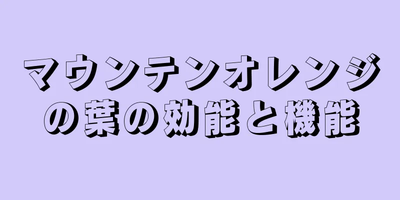 マウンテンオレンジの葉の効能と機能