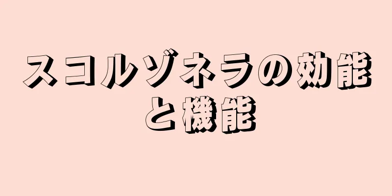 スコルゾネラの効能と機能