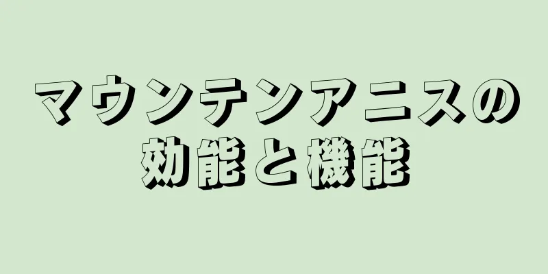 マウンテンアニスの効能と機能