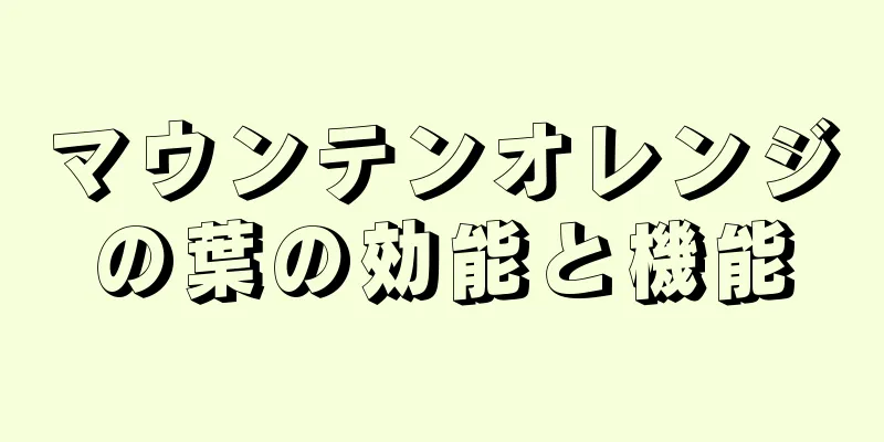マウンテンオレンジの葉の効能と機能