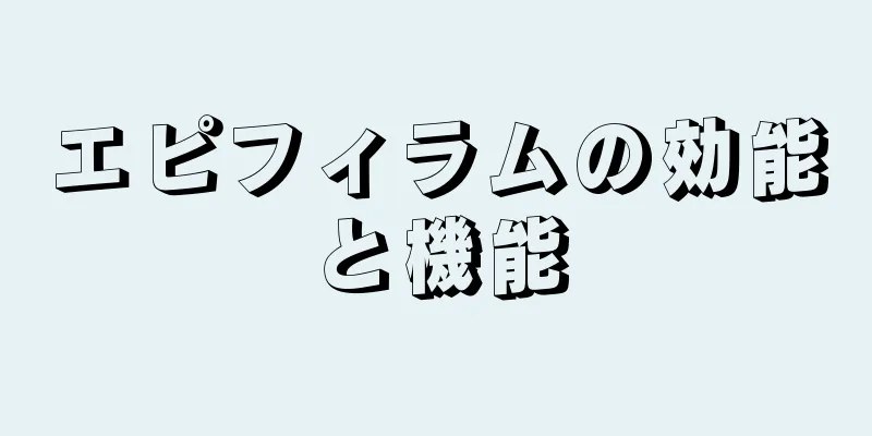 エピフィラムの効能と機能