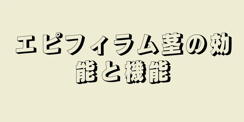 エピフィラム茎の効能と機能
