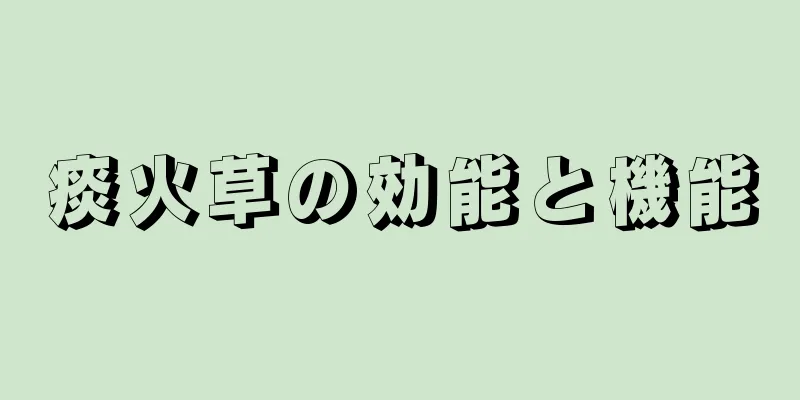 痰火草の効能と機能