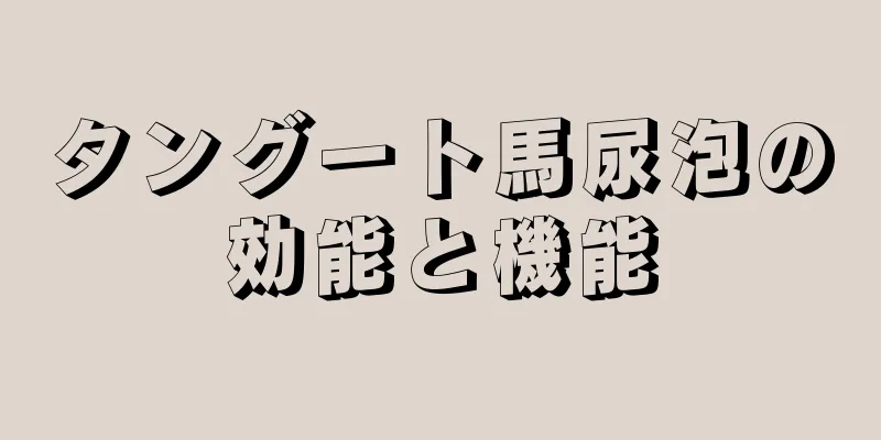タングート馬尿泡の効能と機能