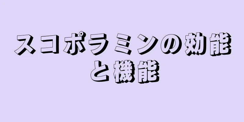 スコポラミンの効能と機能