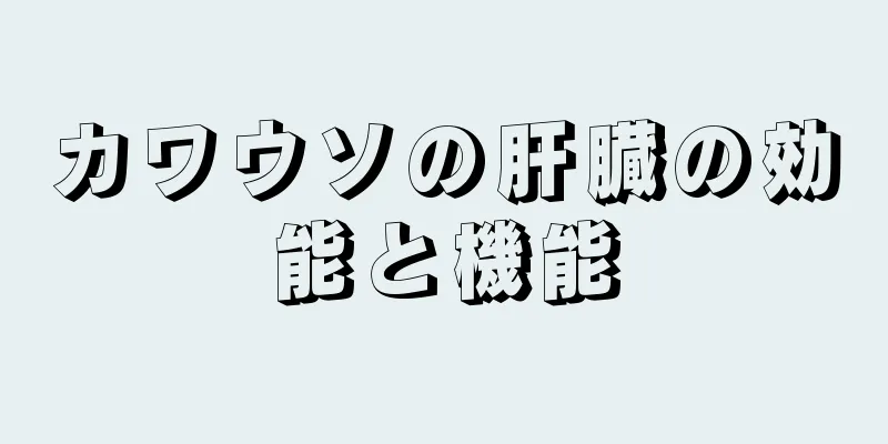 カワウソの肝臓の効能と機能