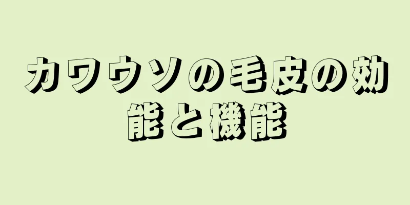 カワウソの毛皮の効能と機能