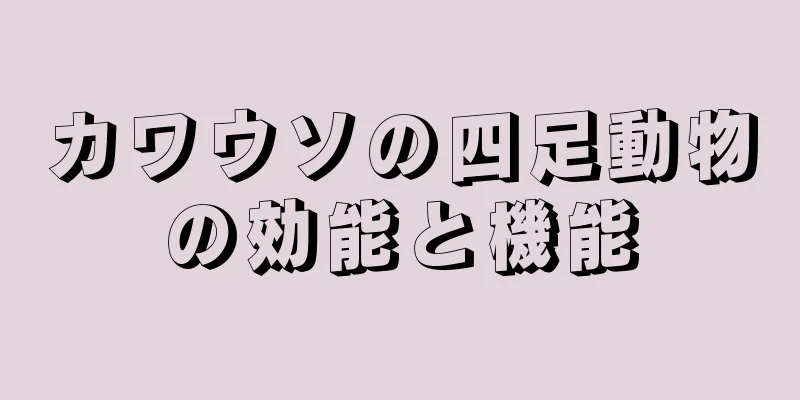 カワウソの四足動物の効能と機能