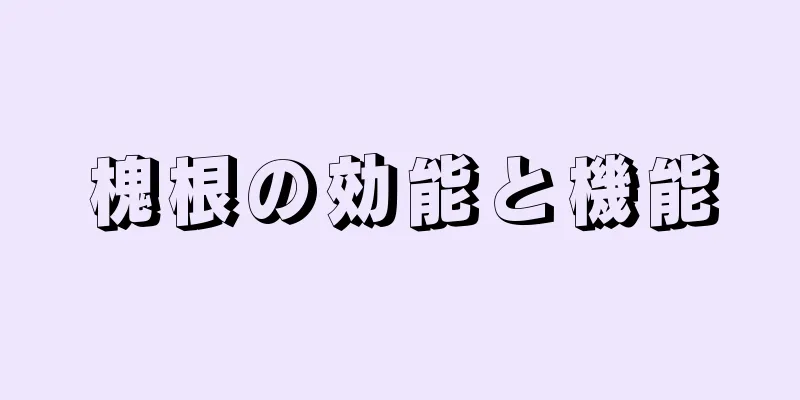 槐根の効能と機能