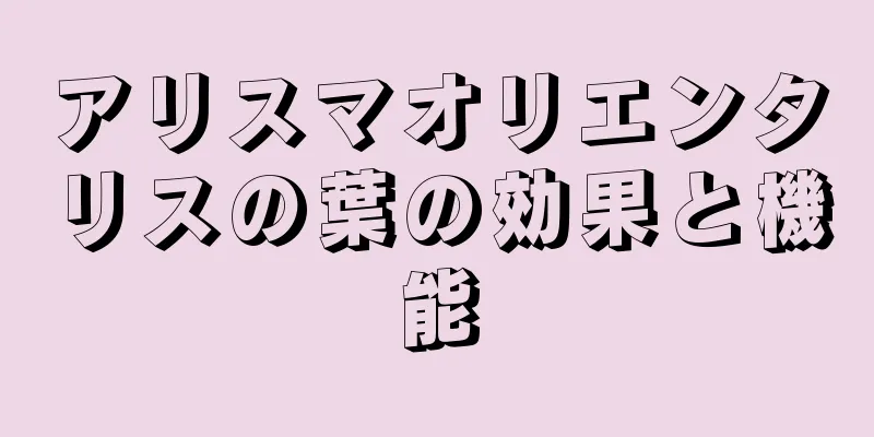 アリスマオリエンタリスの葉の効果と機能