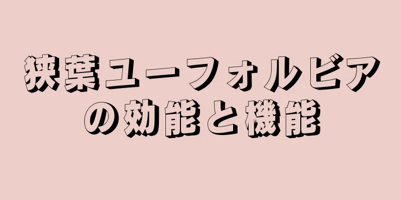 狭葉ユーフォルビアの効能と機能