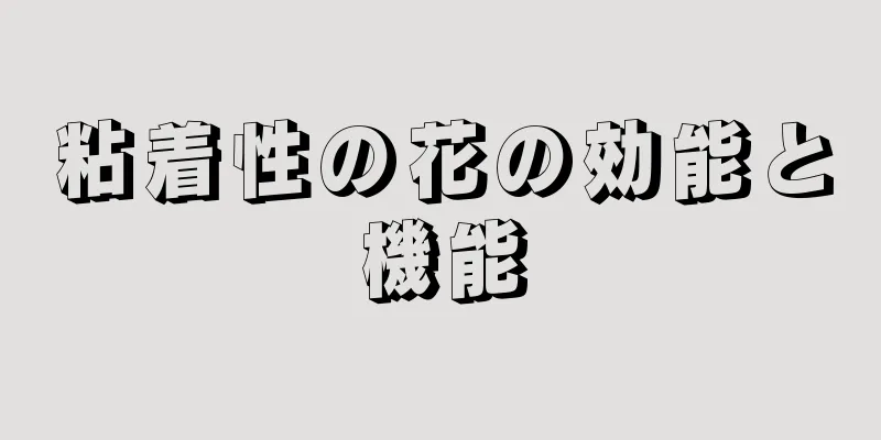 粘着性の花の効能と機能