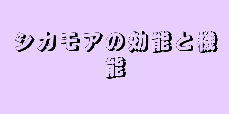 シカモアの効能と機能
