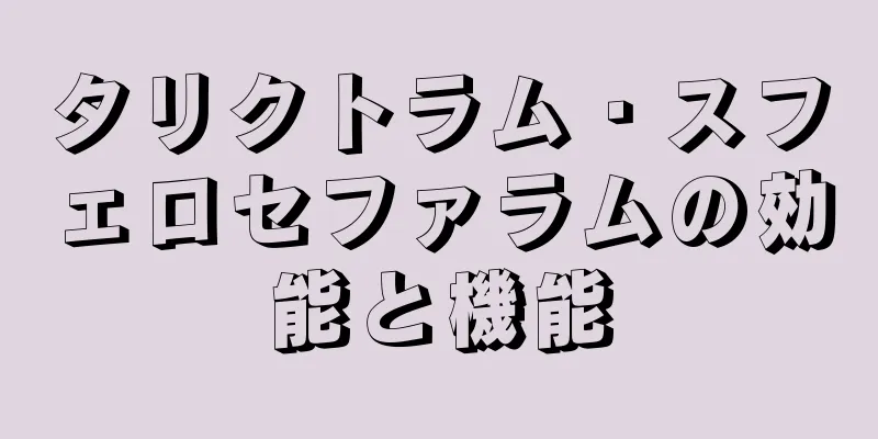 タリクトラム・スフェロセファラムの効能と機能