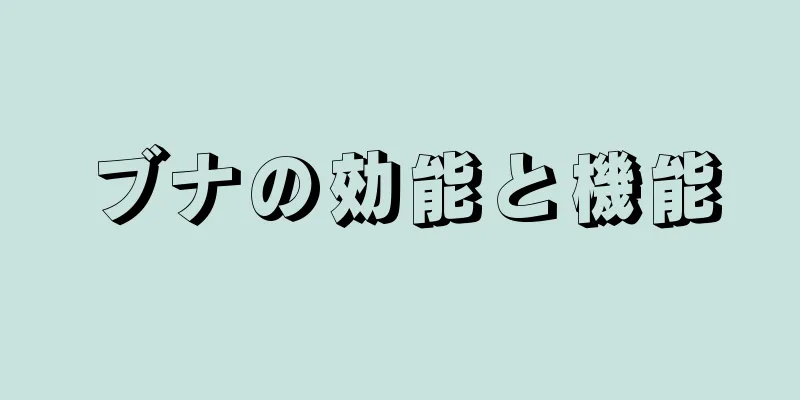 ブナの効能と機能
