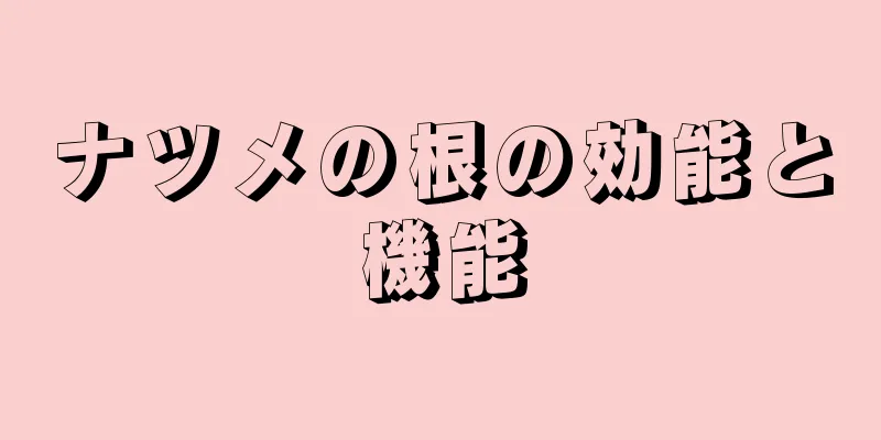 ナツメの根の効能と機能