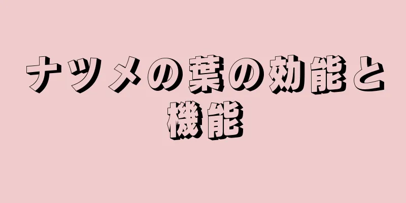 ナツメの葉の効能と機能