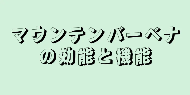 マウンテンバーベナの効能と機能