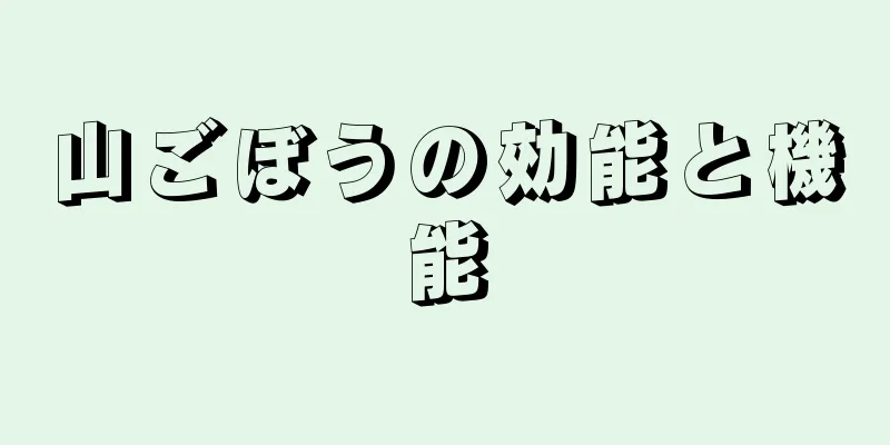 山ごぼうの効能と機能