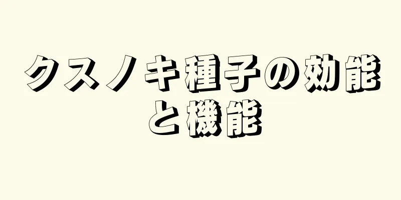 クスノキ種子の効能と機能