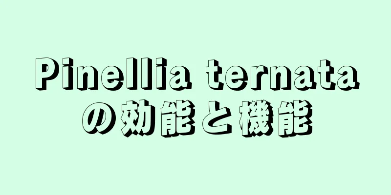 Pinellia ternataの効能と機能