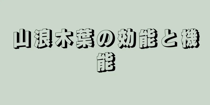 山浪木葉の効能と機能