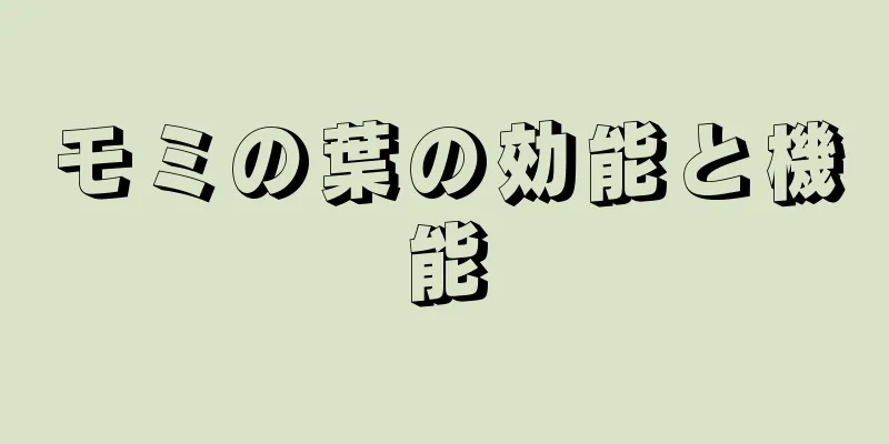 モミの葉の効能と機能