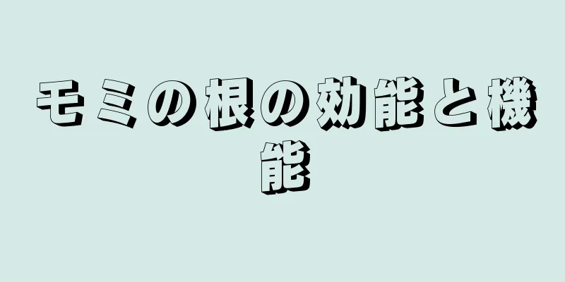モミの根の効能と機能