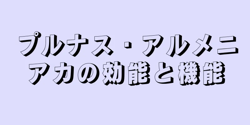プルナス・アルメニアカの効能と機能