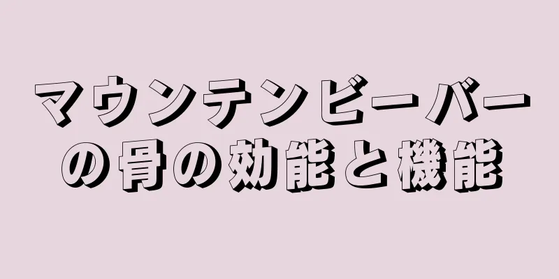 マウンテンビーバーの骨の効能と機能